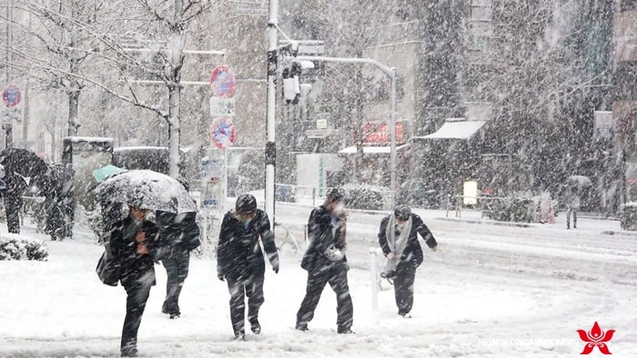 Tuyết rơi ở Busan